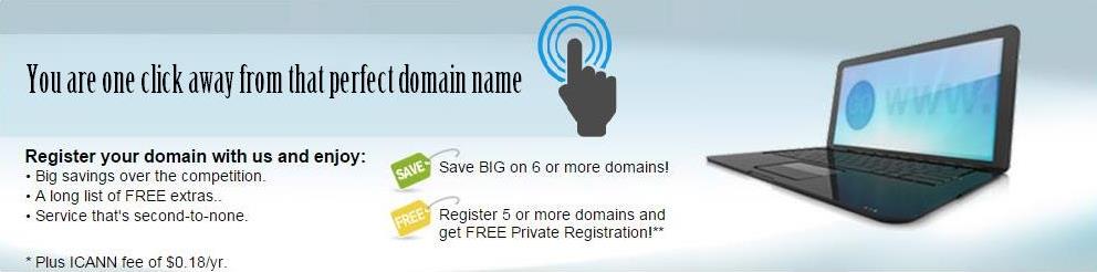 Register your domain with us 