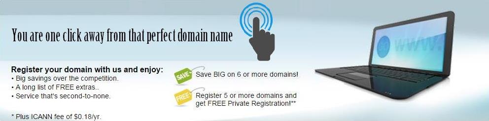 Search Domain Names